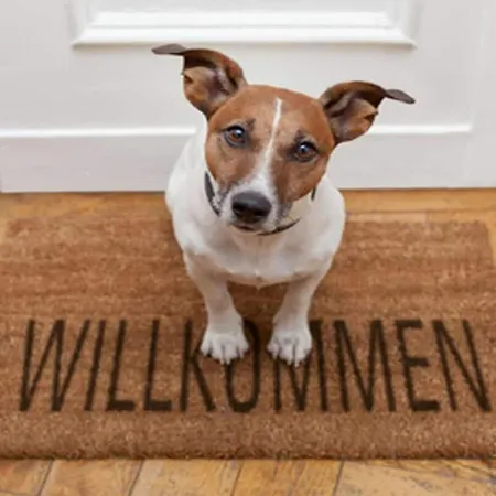 Waldstrasse 35 Reni